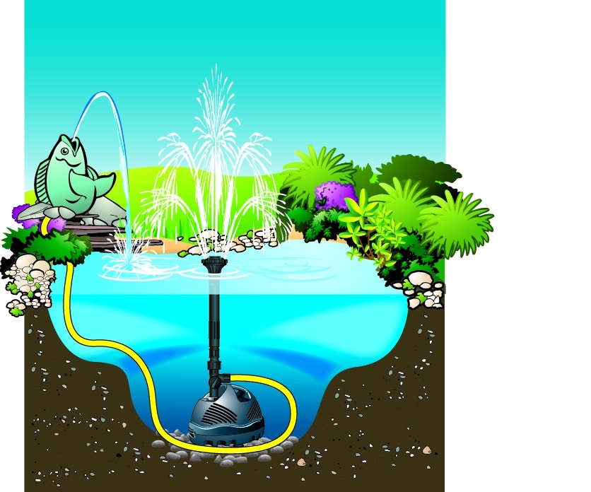 Elimax patsaalla Elimax pumpun jakaminen patsaalle