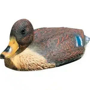 Lampikoriste uiva sinisorsa Heissner