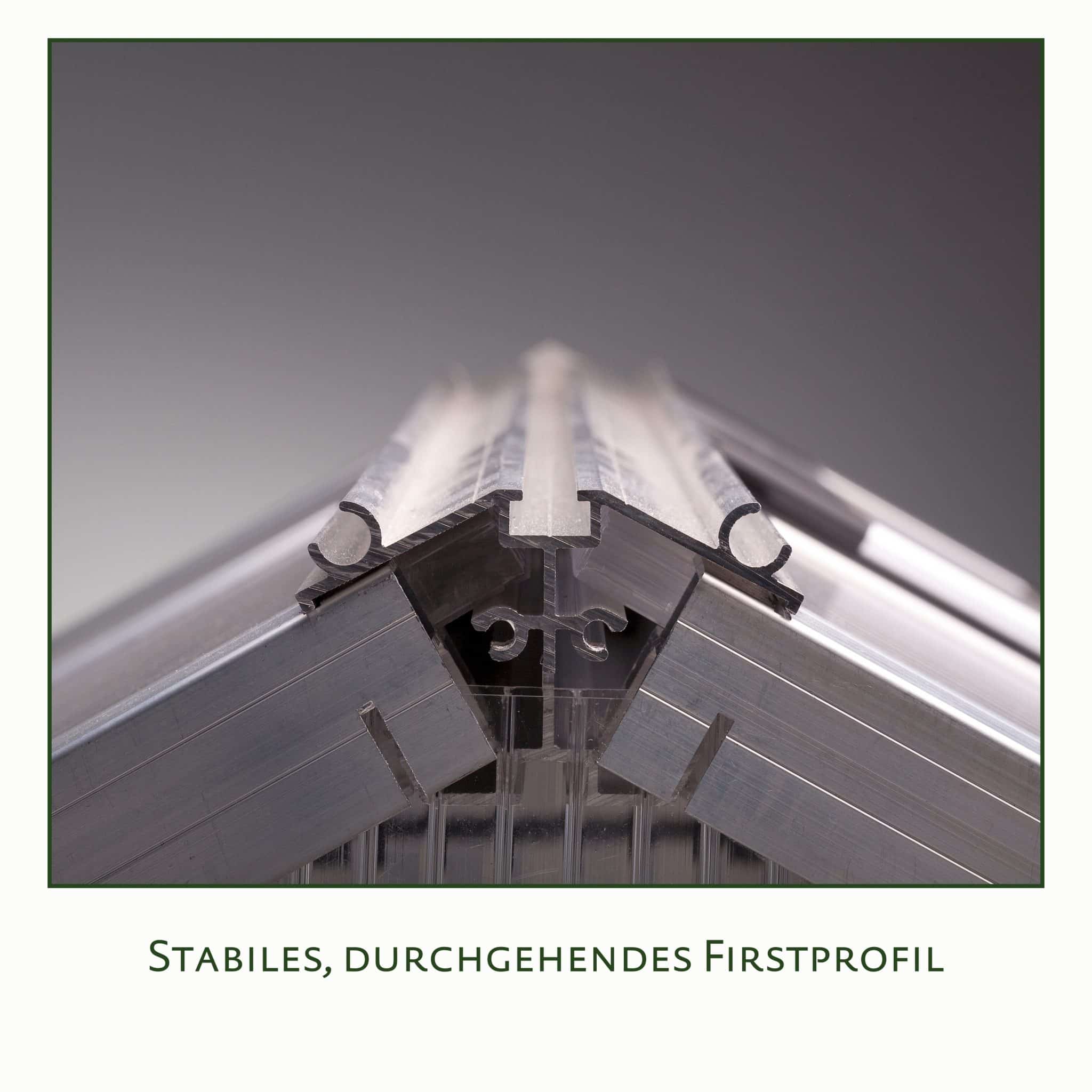 4260120345375_23300003_KGT_Nelke_III_DB_703_Detail_02-DESKTOP-0SNS2RV