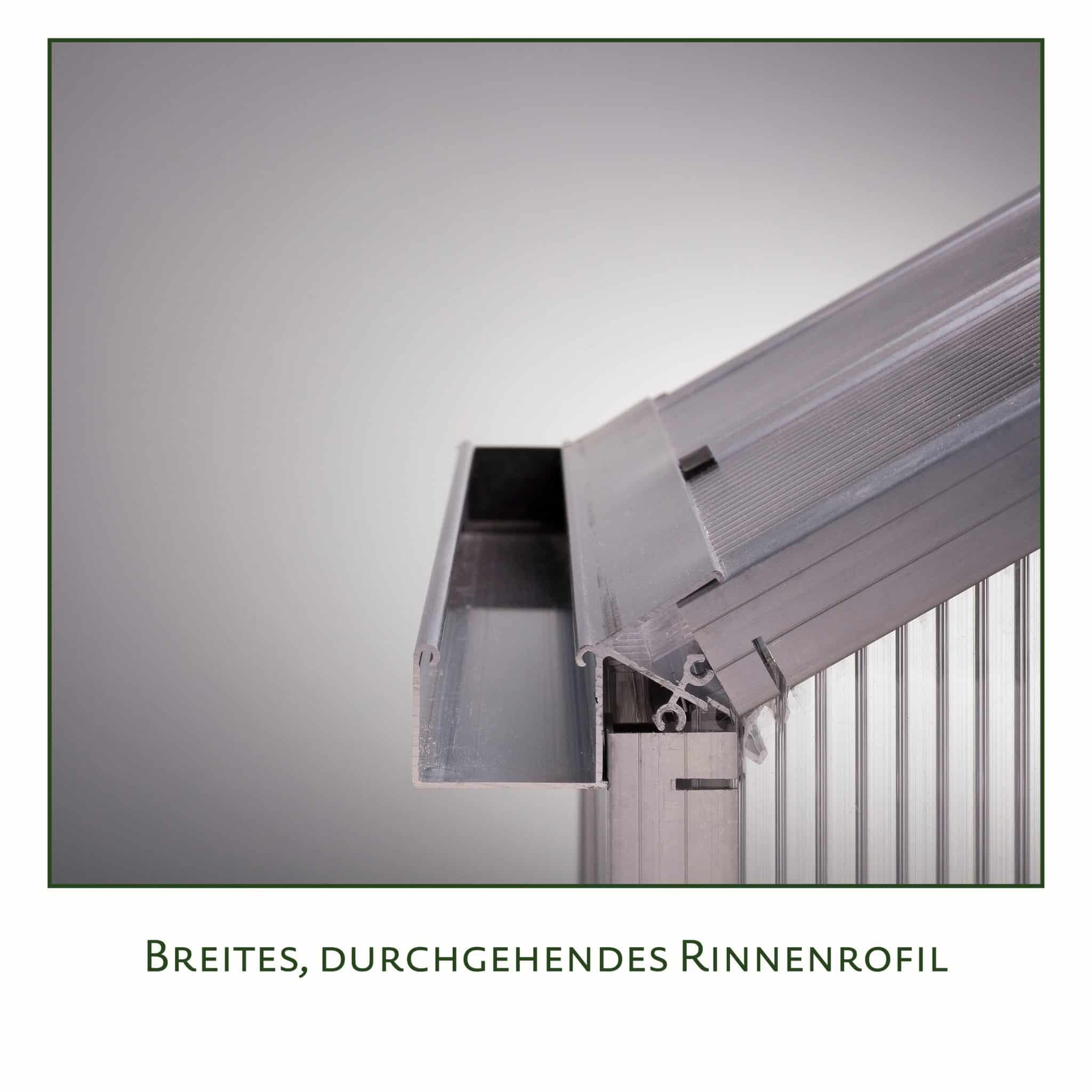 4260120345375_23300003_KGT_Nelke_III_DB_703_Detail_03-DESKTOP-0SNS2RV-DESKTOP-0SNS2RV