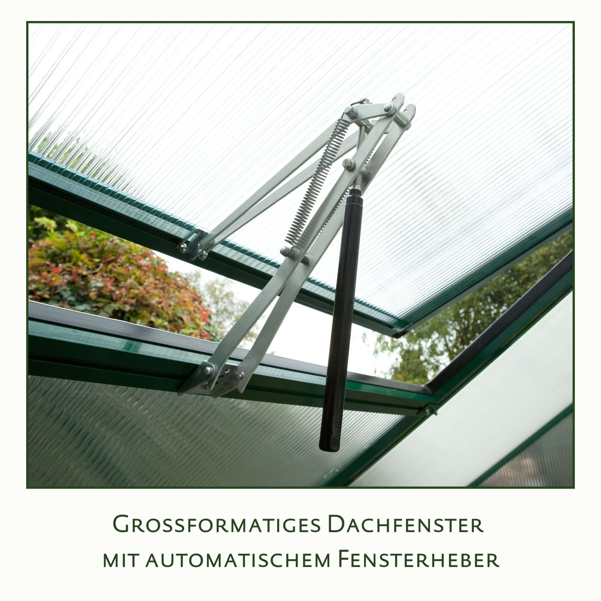 4260120345375_23300003_KGT_Nelke_III_DB_703_Detail_04-DESKTOP-0SNS2RV