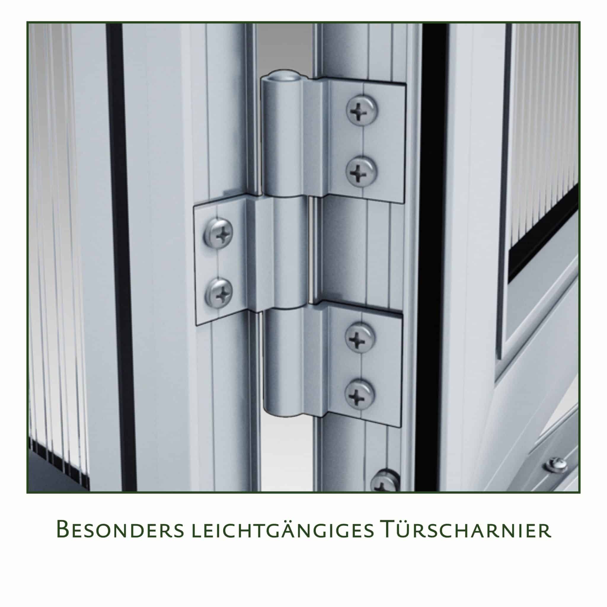 4260120345375_23300003_KGT_Nelke_III_DB_703_Detail_06