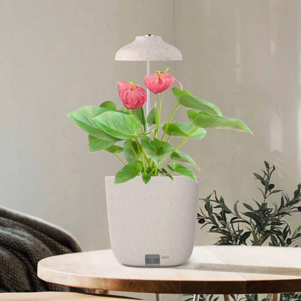 Strömsö yrttiruukku kasvivalolla - GardenLife.fi
